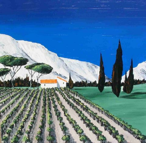 Alpilles vignes pins et cypres
